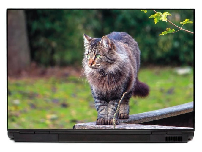 Laptop sticker of a walking cat P434 - Graphic design. Long-haired cat stands on wooden surface with greenery in the background.