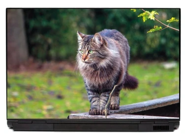 Laptop sticker of a walking cat P434 - Graphic design. Long-haired cat stands on wooden surface with greenery in the background.