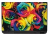 Rainbow rose laptop sticker P420 - Graphic design with vibrant rose buds in various colors.