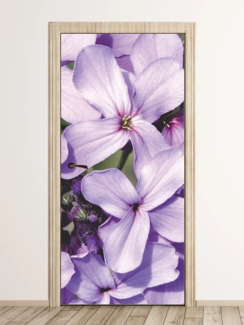 Door wallpaper without P32 - Graphic design. Purple flowers with green leaves.