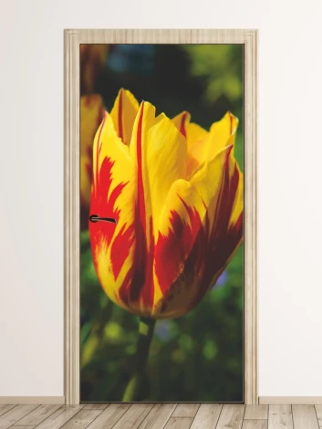 Red and yellow tulip door mural P24 - Graphic design with vibrant colors and distinct petals.