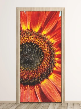 Floral door wallpaper P25 - Graphic design featuring a large round flower in shades of red and orange.