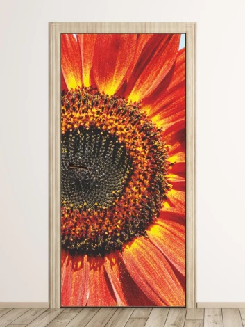 Floral door wallpaper P25 - Graphic design featuring a large round flower in shades of red and orange.