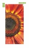 Door mural flower P25 - Graphic design. Large round flower in shades of red and orange with a dark center.