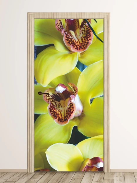 Orchid door mural P37 - Graphic design featuring yellow orchid flowers with brown spots on the petals.