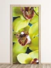Orchid door mural P37 - Graphic design featuring yellow orchid flowers with brown spots on the petals.