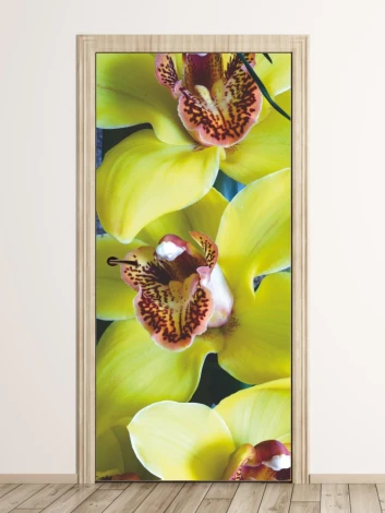Orchid door mural P37 - Graphic design featuring yellow orchid flowers with brown spots on the petals.