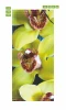Orchid door mural P37 - Graphic design featuring yellow orchid flowers with brown spots.