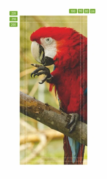 Parrot door mural P21 - Graphic design featuring a parrot on a branch in vibrant shades of red and blue.