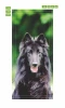 Door wallpaper featuring a Groenendael dog - graphic design with a black dog and long fur on a background.