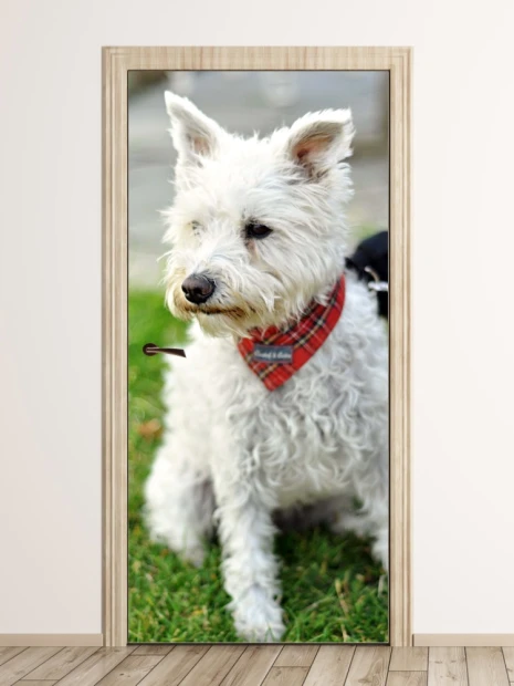 Door mural dog P23 - Graphic design featuring a white dog with a red scarf against a grassy background.