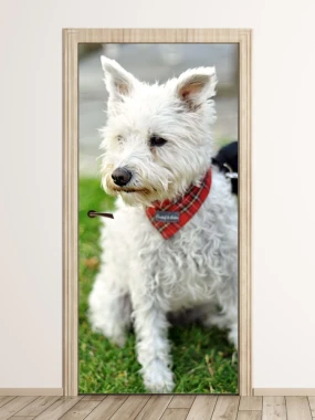 Door mural dog P23 - Graphic design featuring a white dog with a red scarf against a grassy background.