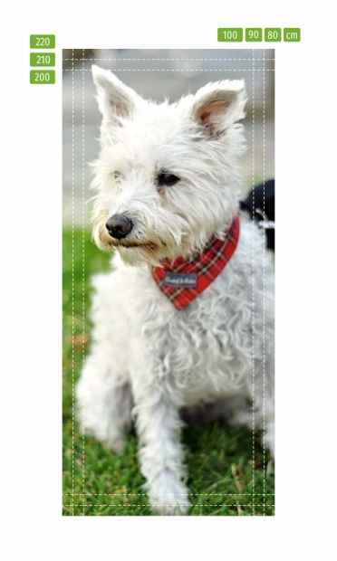 Door wallpaper dog P23 - Graphic design featuring a white dog with a red scarf against a green grass background.