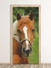Horse door mural P4 - Graphic design featuring a brown horse head with a white patch.