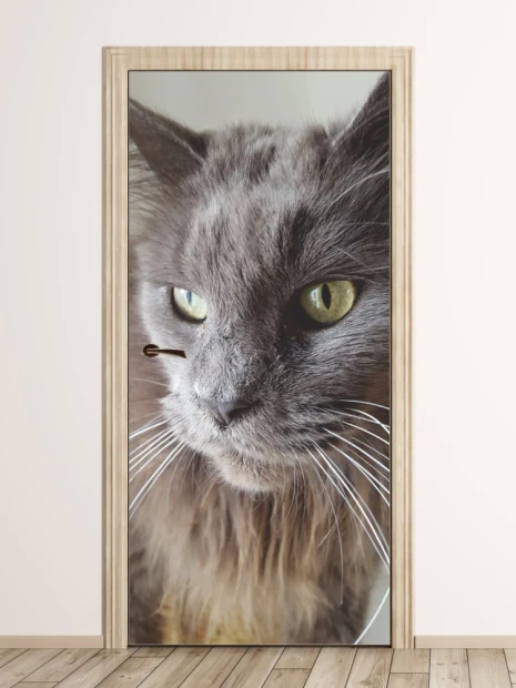 Door mural cat P17 - Graphic design featuring a large cat with striking eyes and long whiskers.