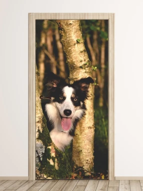 Door mural of a dog in the forest P6 - Modern interior design with light-colored walls and natural wood accents.
