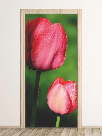 Tulip door mural P8 - Graphic design featuring two pink tulips with water droplets on the petals.