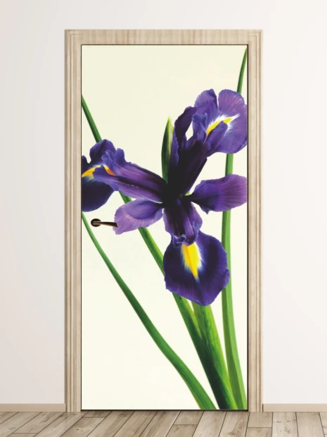 Iris P63 door wallpaper - Graphic design featuring a large purple iris flower with green leaves on a light background.