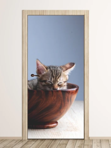 Door wallpaper cat in bowl P56 - Graphic design. Cat sleeping in a wooden bowl on a light background.