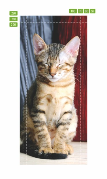 Relaxed cat door mural P57 - Graphic design. Cat sitting with closed eyes and striped fur.
