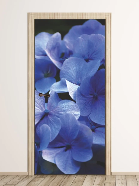 Flower door wallpaper P78 - Graphic design featuring blue flowers with delicate details.