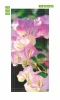 Floral door wallpaper P88 - Graphic design with pink flowers on a green background and delicate leaf details.