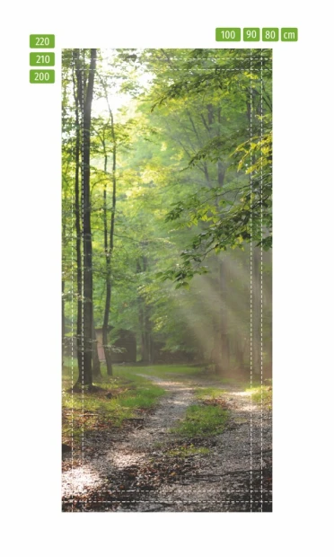 Forest Door Mural P87 - Graphic design featuring a woodland path with trees and sunlight rays.