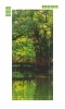 Forest bridge door mural P73 - Graphic design featuring a wooden bridge over water surrounded by green trees.