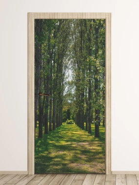 Door wallpaper with a row of trees P68 - Bright room decor with beige walls and wooden flooring.