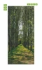 Wallpaper for doors featuring a row of tall green trees with a visible pathway.