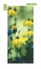 Yellow flower door wallpaper P75 - Graphic design with yellow flowers against a backdrop of green leaves.