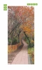 Autumn park door mural P94 - Graphic design featuring a path surrounded by trees with orange leaves.