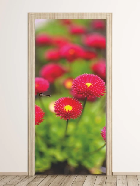 Daisy door wallpaper P95 - Graphic design featuring pink and yellow daisies on a green background.