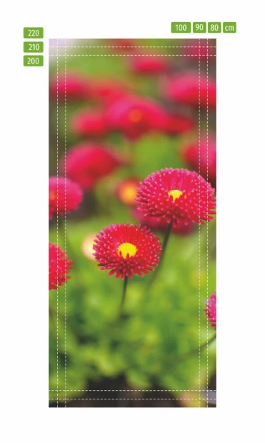 Daisy door wallpaper P95 - Graphic design featuring red daisies with yellow centers on a green background.