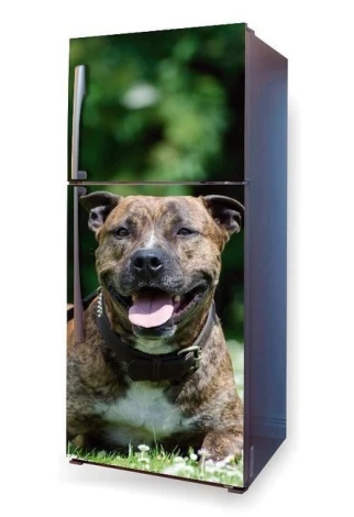 Fridge wrap sticker American Staffordshire Terrier P3 - Graphic design featuring a dog in position.