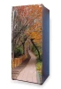 Fridge wrap sticker autumn in the park P94 - Graphic design featuring a tree-lined path in a park.