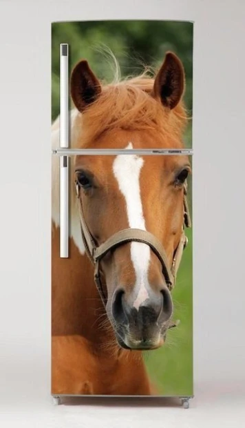 Fridge wrap sticker Horse P4 - Graphic design featuring a brown horse head with a white patch.