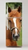 Fridge wrap sticker Horse P4 - Graphic design featuring a brown horse head with a white patch.