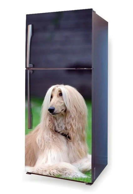 Fridge wrap sticker featuring a dog sitting in the grass, design P1.