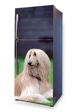 Fridge wrap sticker featuring a dog sitting in the grass, design P1.