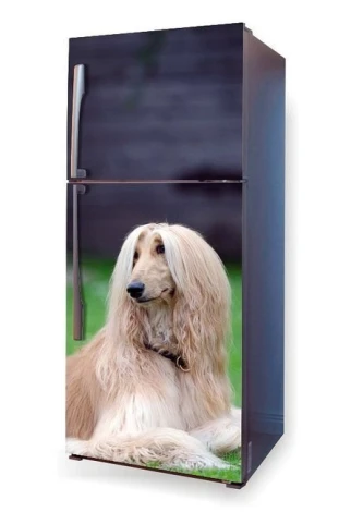 Fridge wrap sticker featuring a dog sitting in the grass, design P1.