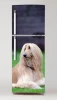 Fridge sticker featuring a long-haired dog in the grass, design P1.