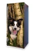 Fridge wrap sticker with a dog in the forest P6 - Kitchen decor. Walls in shades of green and brown.
