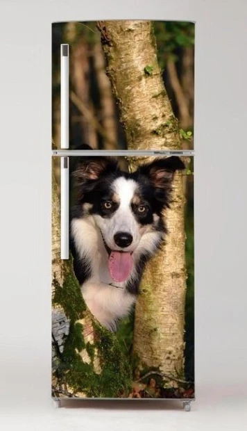 Fridge wrap sticker featuring a dog peeking from behind a tree in the forest.