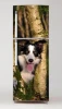 Fridge wrap sticker featuring a dog peeking from behind a tree in the forest.