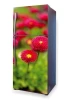 Refrigerator wrap sticker with daisies P95 - Graphic design featuring red daisies with yellow centers on a green background.