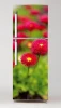Refrigerator wrap sticker with daisies P95 - Graphic design featuring red daisies on a green background.
