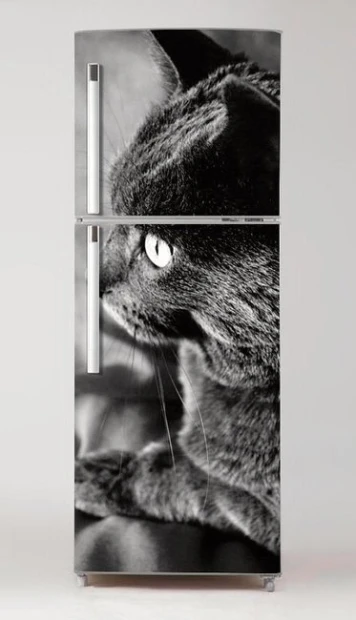 Fridge wrap sticker black cat P13 - Graphic design featuring a black cat in profile with a prominent eye.