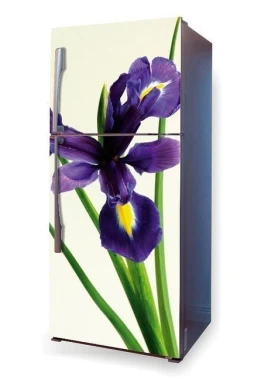 Iris P63 fridge wrap sticker - Graphic design featuring an iris flower in shades of purple and green on a light background.