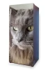 Fridge sticker cat P17 - Graphic design featuring a large, realistic cat head with clear details.